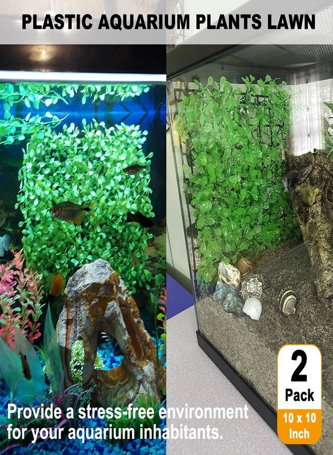 Anranmm 2 PCS Hermit Crab Climbing Toys Faux Grass Mat 10 x 10 Inch Fake Turf Hermit Crab Climbing Wall Square Plastic Aquarium Plants Lawn HermitCrabs Supplies Small Animals Cage Accessories - Image 4
